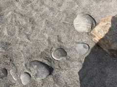 -七星潭蓝天广场