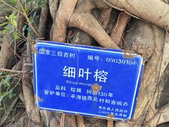 -平海古城