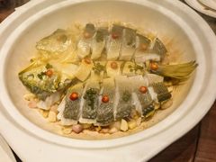 砂锅焗深海大黄鱼-红城阁·上海味道(四平路店)