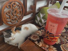 -眞宗·椰汁是大王(小娄巷店)