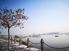 -天马广场