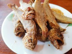 炸小黄鱼-启子大馅饺子