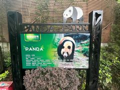 -成都动物园