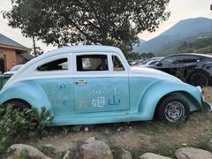 -大姆山草场