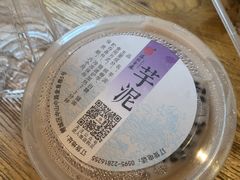 -海丝金凤(金鱼店)
