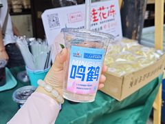 -鸣鹤古镇