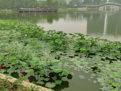 -西海子公园