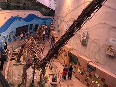 -陕西自然博物馆