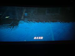 -百美汇影城(LUXE嘉里中心店)