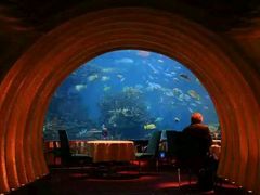 -迪拜帆船酒店海底餐厅