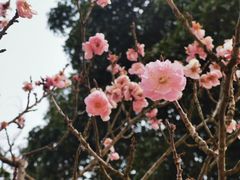 -无锡梅园公园