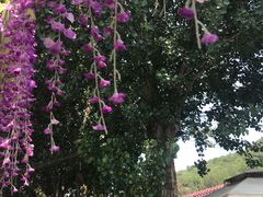 门面-山乡农家院(海淀区西北旺店)