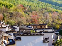 -塔川景区