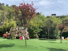 -玫瑰庄园·自助烧烤·烤全羊·团建拓展(龙泉山店)