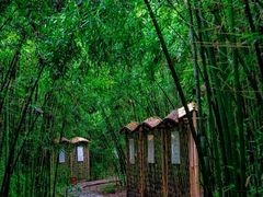 -同里国家湿地公园