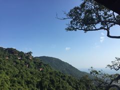 -亚龙湾热带天堂森林公园