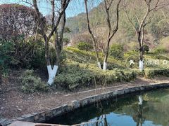 -桃花岭景区