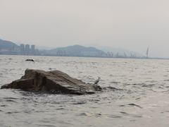 -胡里山炮台