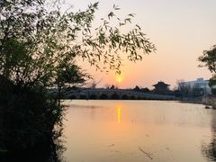 -广富林郊野公园