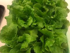 -金陵之星大酒店·中餐厅