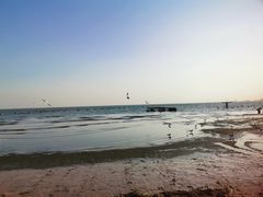 -老虎石海上公园