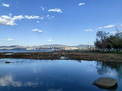 -洱海月湿地公园