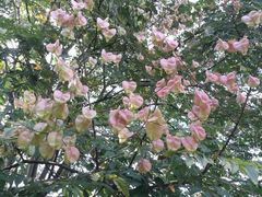 -苏州河梦清园环保主题公园