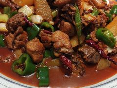 -俭寨大盘鸡·缸子肉·小公鸡·新疆菜(云通店)