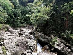 -四明山国家森林公园