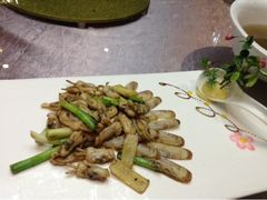 蛏子-小元国大酒店(环城东路店)