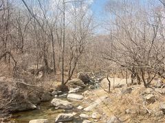 -玉渡山自然风景区