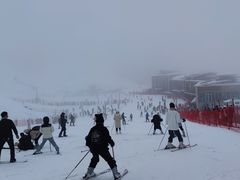 -太子岭滑雪场