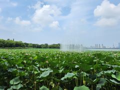 -云龙湖旅游景区