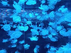 -杭州野生动物世界