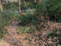 -浙江宾馆·花园餐厅·自助餐厅·茶吧