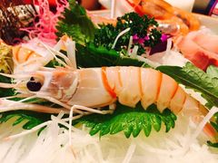 -割烹酱子日本料理(弘基财富广场店)