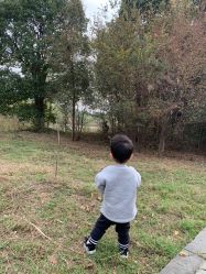 -巧虎kids体验中心(绿宝广场店)