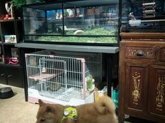 -百好乐宠物友好餐厅(朝外大街店)
