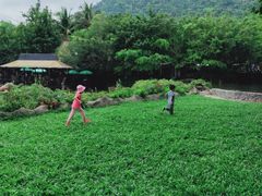 -呀诺达热带雨林