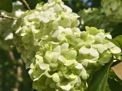 -杭州城北体育公园