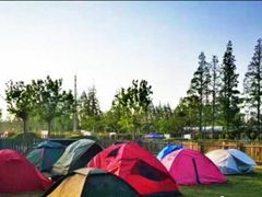 -前小桔亲子创意农场·草莓采摘·露营烧烤