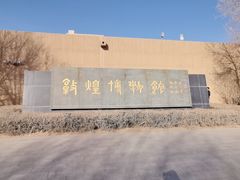 -敦煌市博物馆