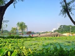 iphone_upload_pic-楚秀园