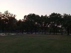 -新江湾城公园