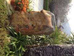 鼎湖山-鼎湖山风景区