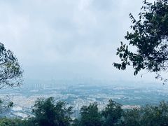 -火炉山森林公园