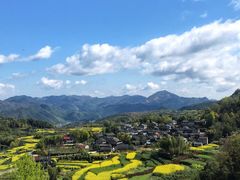 -桑洲油菜花景区