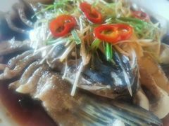 -煲来饱去冷水鱼