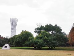 -上海滨江森林公园