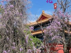 -北京国子监胡同